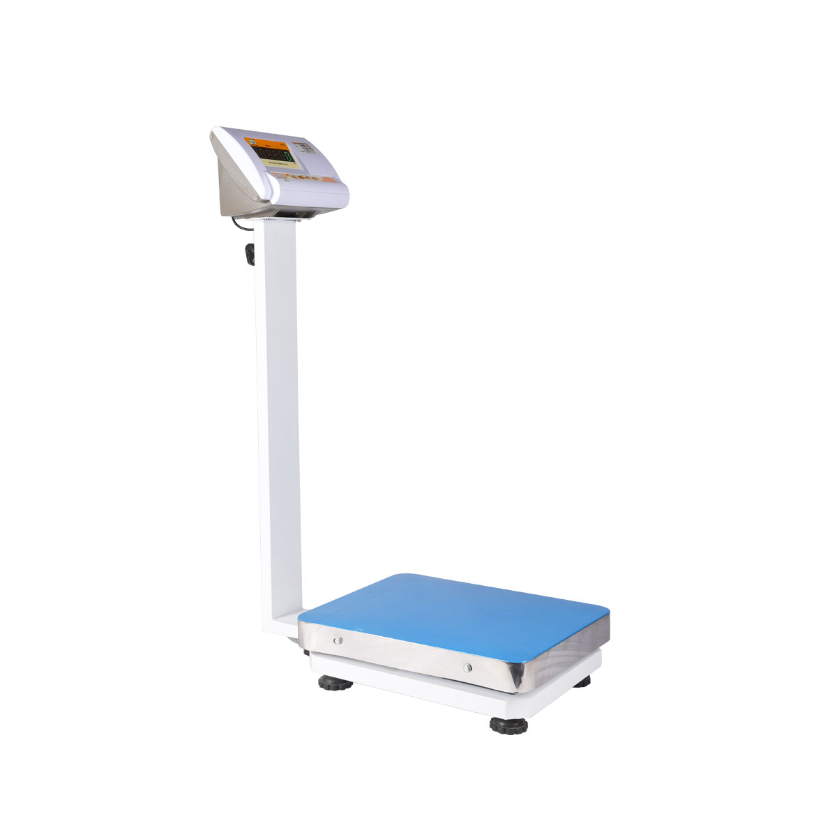 Adult Scale